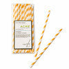 Paper Straws