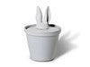 Rabbit Ears Container